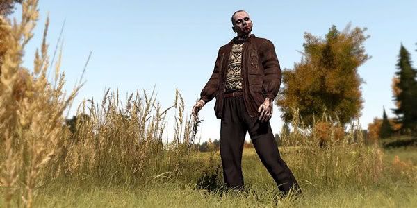 DayZ 1